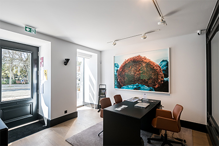 Agencia Inmobiliaria de lujo BARNES Portugal